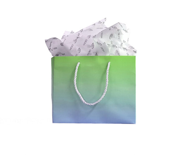 Holiday Gift 2025